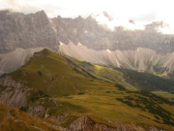 2013-09-08_6Falkenh-Steinfalk (204)02.JPG